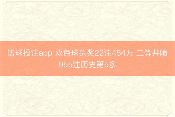 篮球投注app 双色球头奖22注454万 二等井喷955注历史第5多