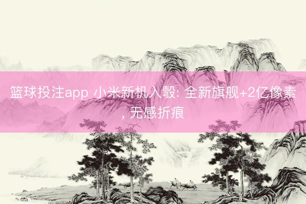 篮球投注app 小米新机入彀: 全新旗舰+2亿像素， 无感折痕